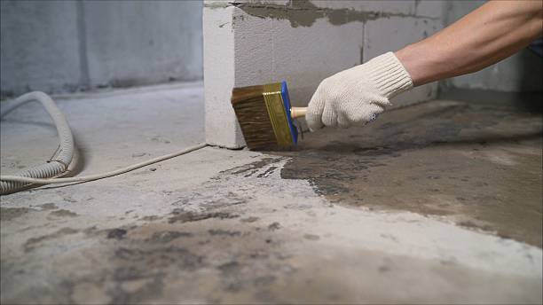 SJ Waterproofing Pros Waterproofing coverage map for Woodville, WI and surrounding area